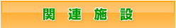 ֘A{